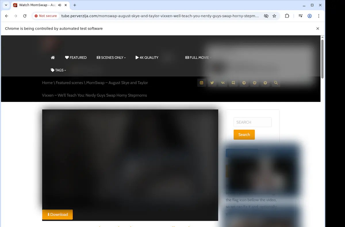 Perverzija Video Downloader browser extension screenshot 2