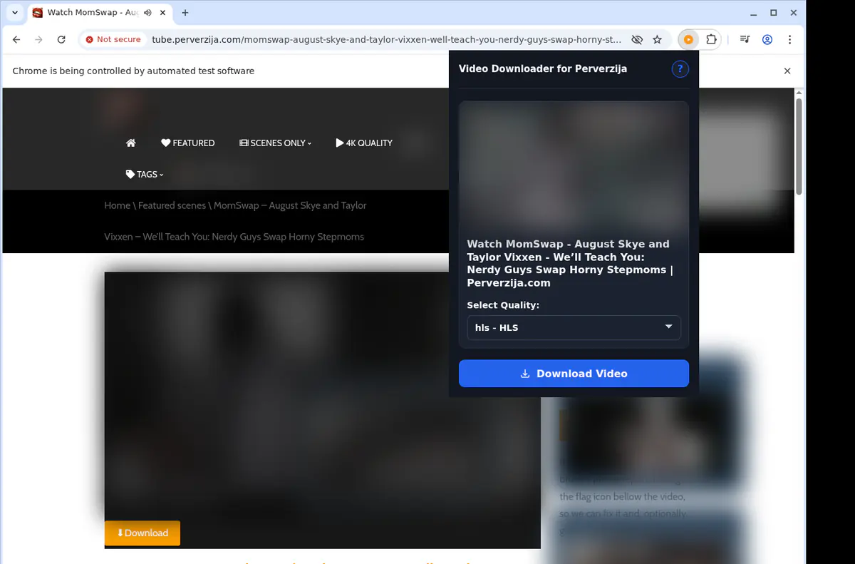 Perverzija Video Downloader browser extension screenshot 3