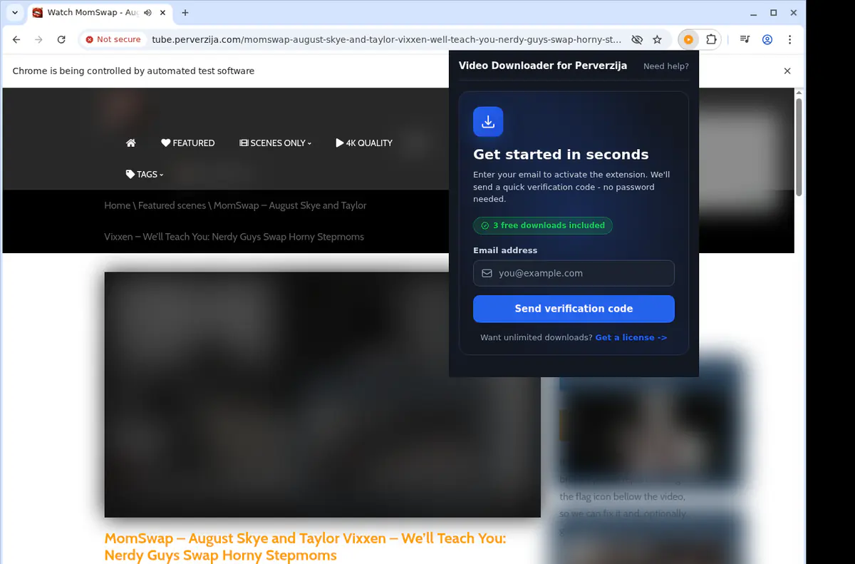 Perverzija Video Downloader browser extension screenshot 5